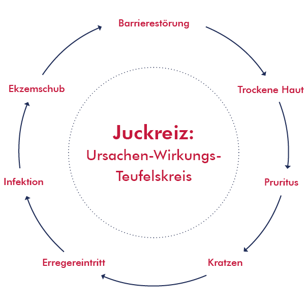 Grafik Juckreiz Teufelskreis