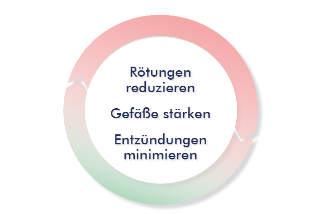 Behandlungsansätze bei Rosacea Kreisgrafik mit Text: Rötungen reduzieren, Gefäße stärken, Entzündungen mindern