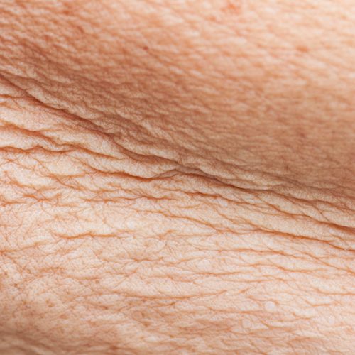 Nahaufnahme einer knittrigen Pergamenthaut