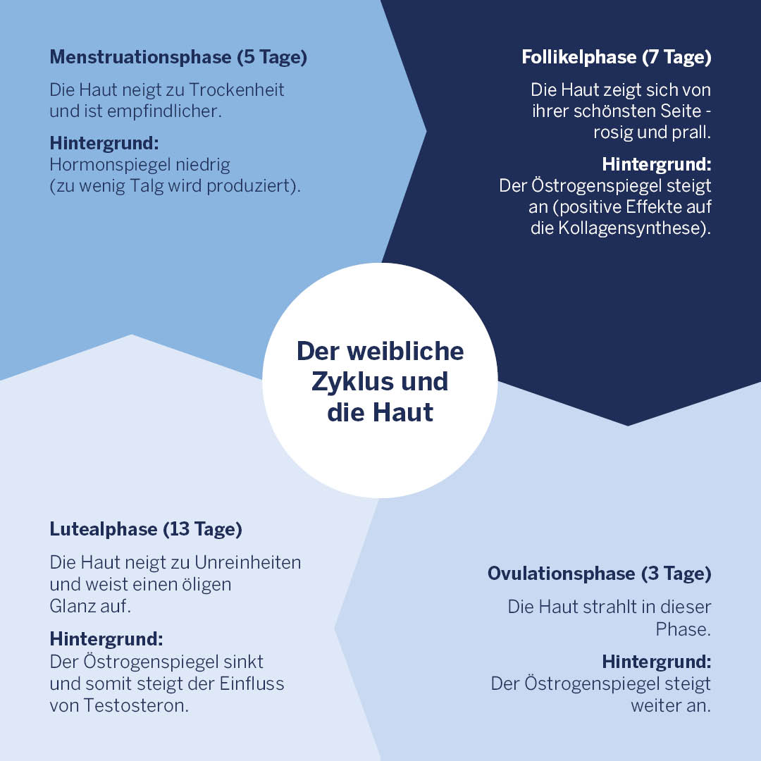 Grafik: Der weibliche Zyklus und die Haut