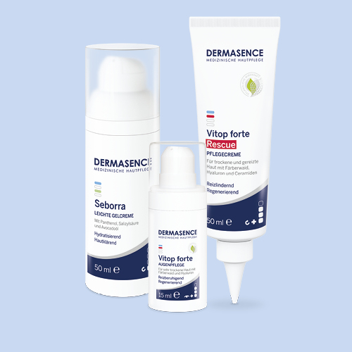 Noras Lieblingsprodukte vor hellblauem Hintergrund