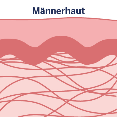 Grafik Männerhaut