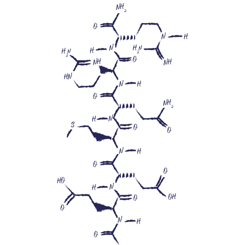 Anti-Aging-Peptid als Wirkstoff in der Hautpflege Acetyl Hexapeptide-8