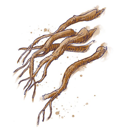 Ayurvedisches Steinkrautgewächs-Extrakt als Wirkstoff in der Hautpflege Boerhavia Diffusa Root Extract