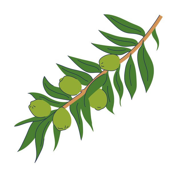 Olea Europaea Leaf Extract