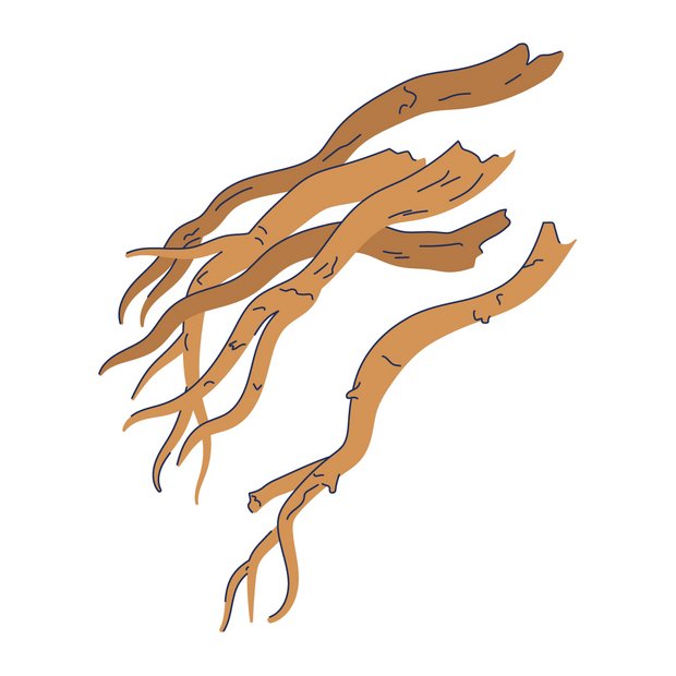 Ayurvedisches Steinkrautgewächs-Extrakt als Wirkstoff in der Hautpflege Boerhavia Diffusa Root Extract