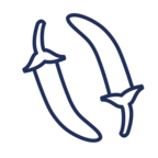 Scharfe Speisen (Capsaicin)