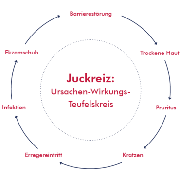 Infografik: Ursachen-Wirkungs-Teufelskreis, der zu Juckreiz führt