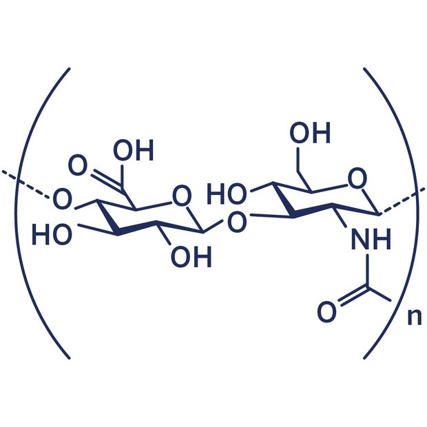 Hyaluronsäure als Wirkstoff in der Hautpflege Sodium Hyaluronate