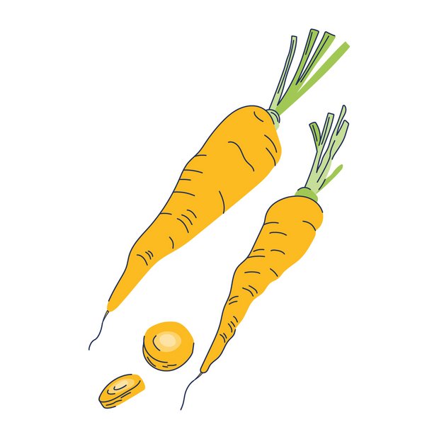 Karotin als Wirkstoff in der Hautpflege Beta-Carotene