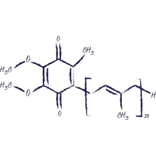 Coenzym Q10 als Wirkstoff in der Hautpflege Ubiquinone