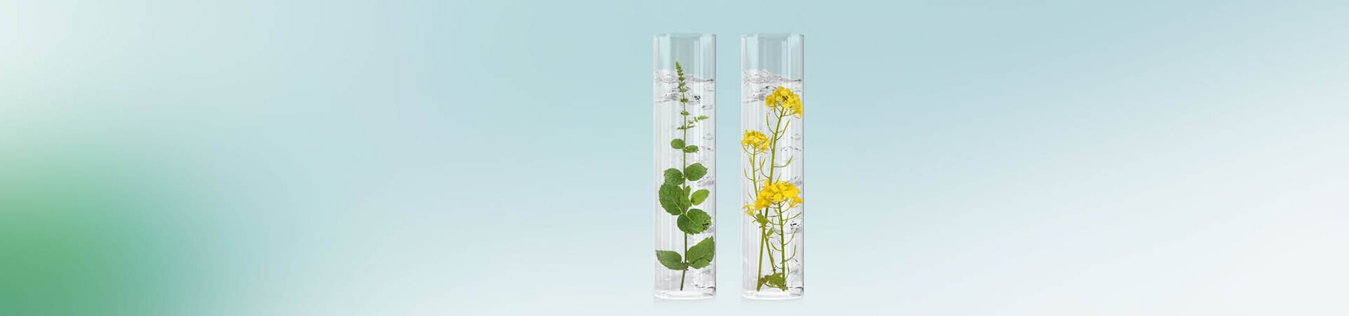 Wirkstoffe gegen Juckreiz vor blauem Hintergrund