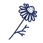 Beruhigende Wirkstoffe (z. B. Bisabolol)