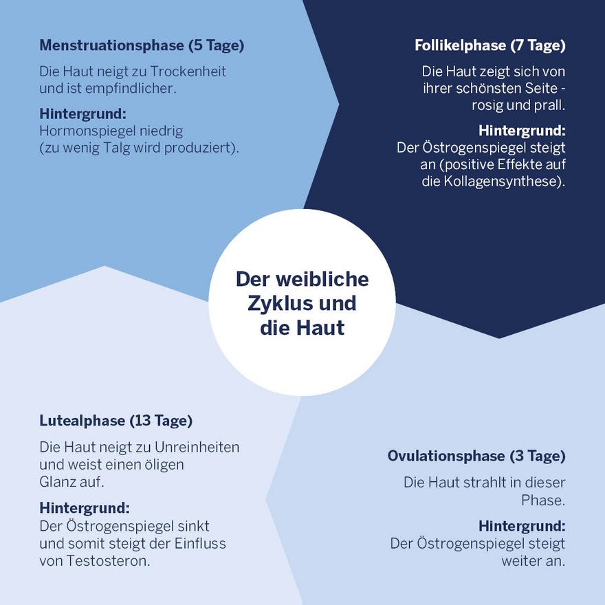 Grafik: Der weibliche Zyklus und die Haut