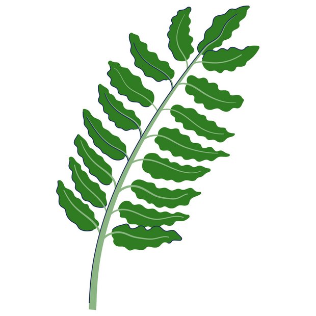 Weihrauchextrakt als Wirkstoff in der Hautpflege Boswellia Serrata Extract