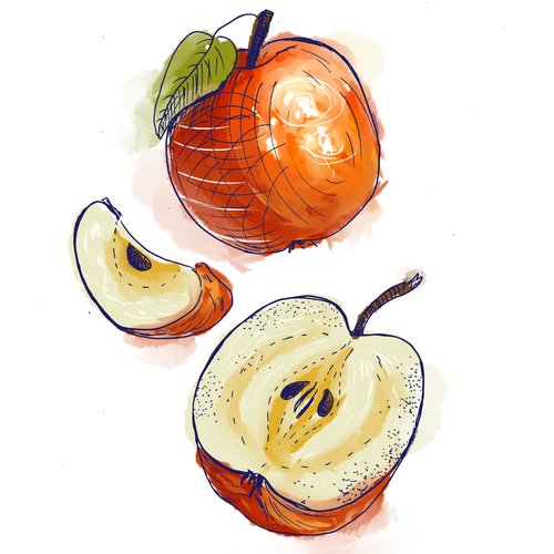 Apfelsäure als Wirkstoff in der Hautpflege Zeichnung: Apfel