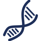 Hauterkrankungen und genetische Veranlagung