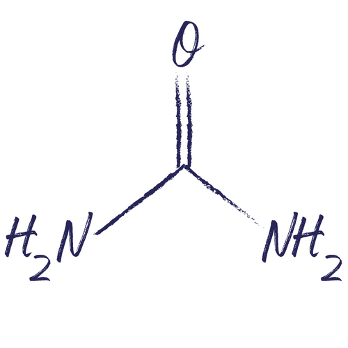 Urea als Wirkstoff in der Hautpflege Urea