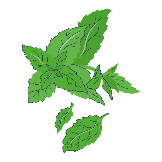 Menthol als Wirkstoff in der Hautpflege L-Menthol | Menthol