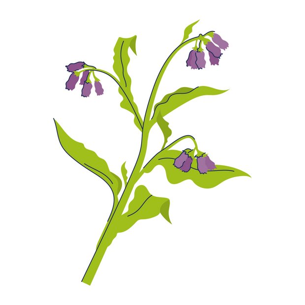 Allantoin als Wirkstoff in der Hautpflege Allantoin