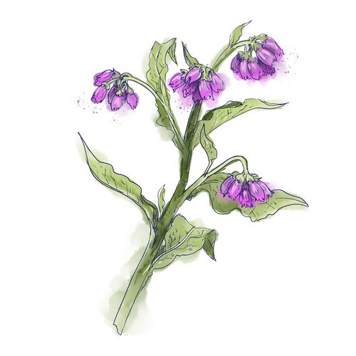 Allantoin als Wirkstoff in der Hautpflege Allantoin