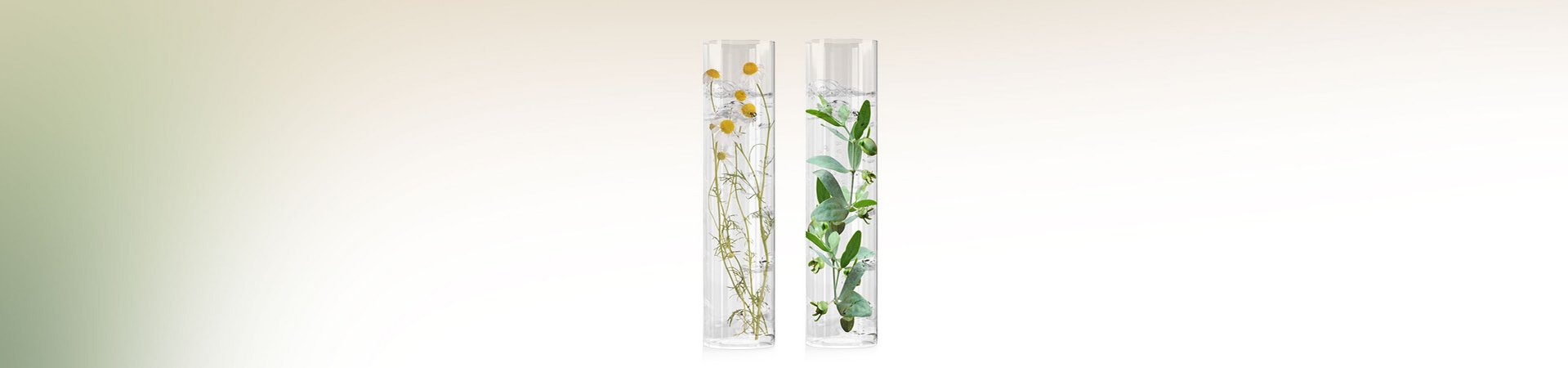 Wirkstoffe in Reagenzgläsern