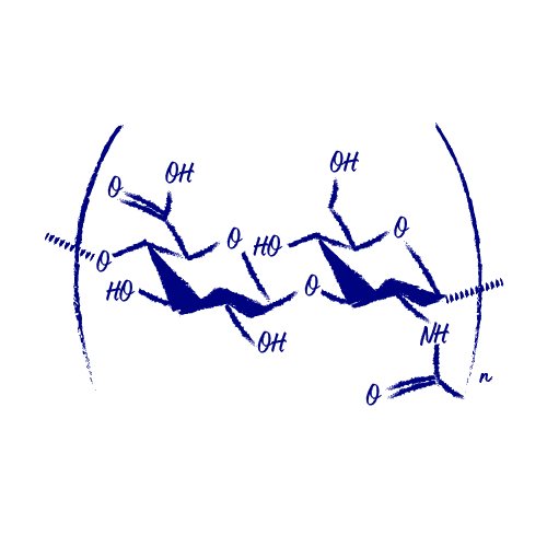 Hyaluronsäure als Wirkstoff in der Hautpflege Sodium Hyaluronate