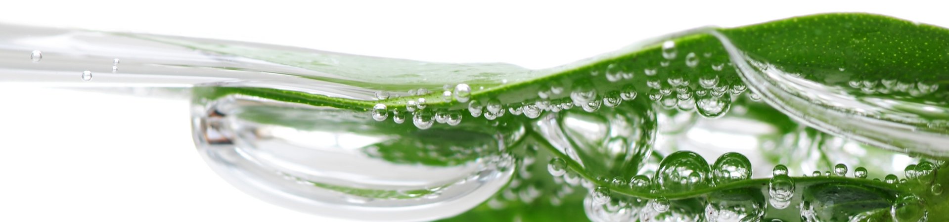 Nahaufnahme von Blatt und Wasser