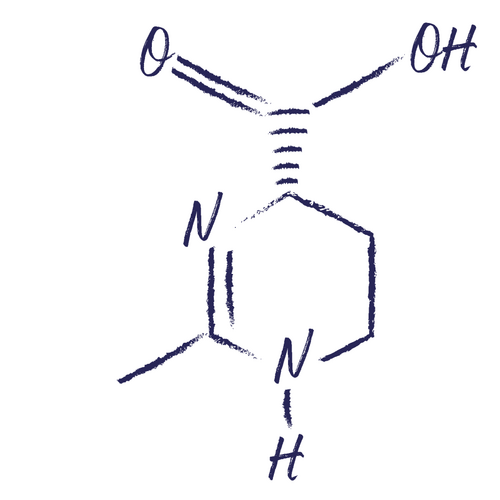 Ectoin als Wirkstoff in der Hautpflege Ectoin