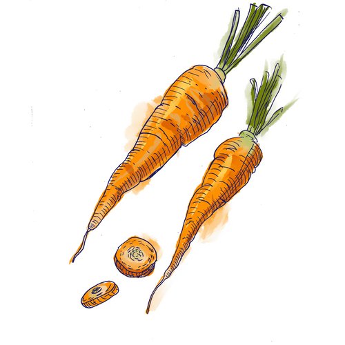 Karotin als Wirkstoff in der Hautpflege Beta-Carotene